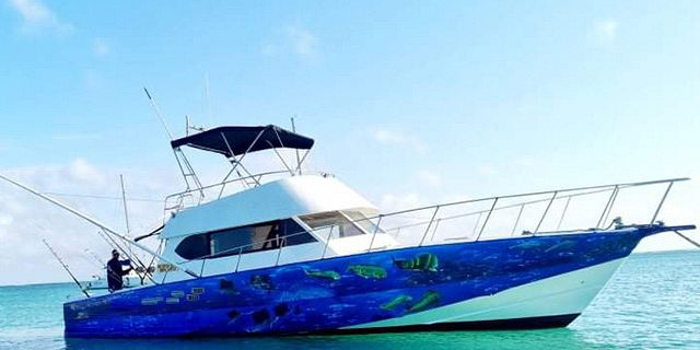 Private speed boat trip coin mire flat island half201825 (1)